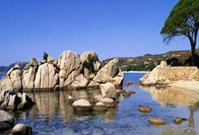 -拉梅洛数据全面爆炸！湖人防线在他面前形同虚设