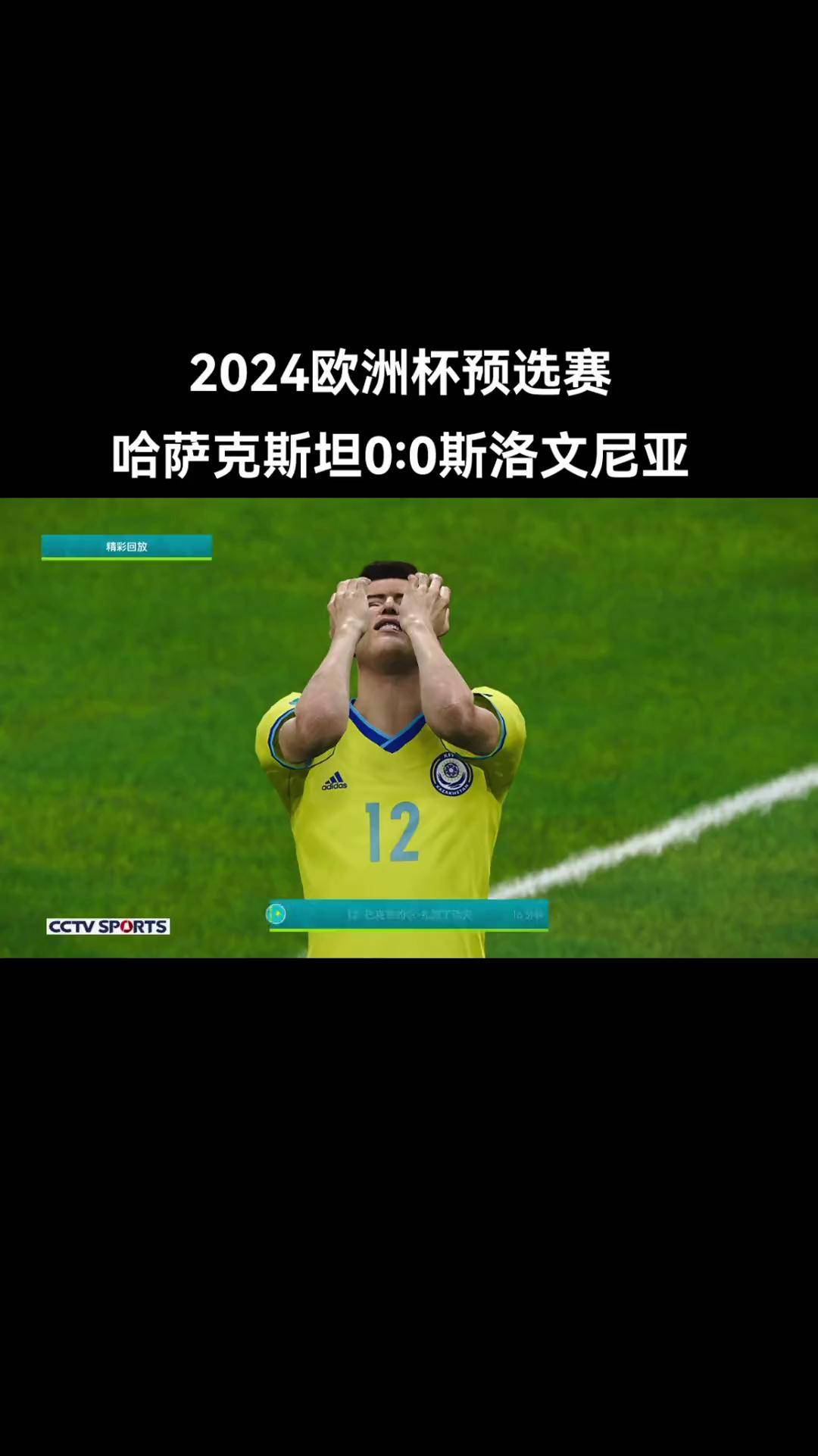 斯洛文尼亚奋勇拼搏，欧预赛场上迅猛