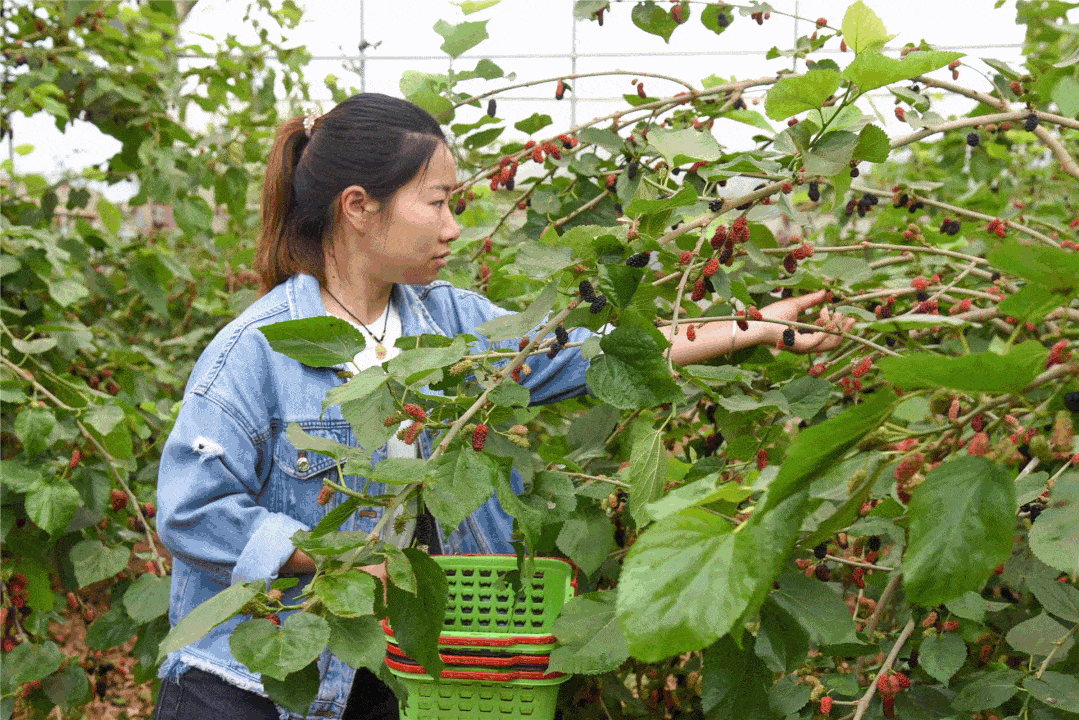 胜利的果实久远，顶级比赛令人炫目赞叹